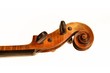 violin