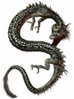 eastern dragon