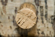 wine cork background.
