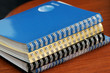 diaries with spirals diaries with spirals