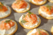 smoked salmon, cream cheese, and dill crackers smoked salmon, cream cheese, and dill crackers