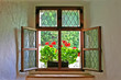 window with wooden frame and flowers