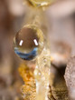 a drop of resin