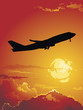 flight