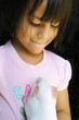00 a girl and her pet