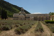 abbaye de sénanque abbaye de sénanque