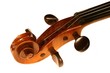 violin