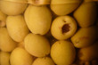 img_1835olives
