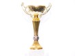 winner trophy