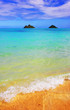 the beach (space for text)