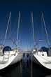 sailing boat