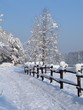 winter at mountains - beskid - poland