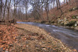 woodland stream bed in winter woodland stream bed in winter