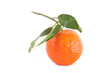tangerine