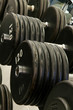 dumbells