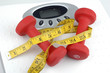 weights and scale