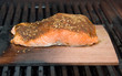 salmon fillet on cedar plank smoke cooking on bbq salmon fillet on cedar plank smoke cooking on bbq