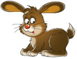 rabbit