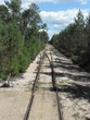 ligne droite