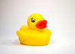 rubber duck