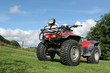 quad bike quad bike
