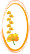 orange oval ornament - vector illustration orange oval ornament - vector illustration