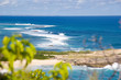 guadeloupe -  pointe des chateaux