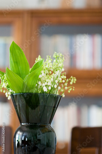 Photo: lily of the valley lily of the valley