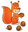 squirrel