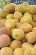 abricots