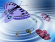 mariposa 2