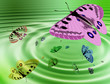 mariposa 3