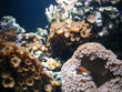 underwater series