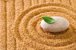 zen garden
