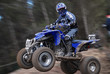 quad