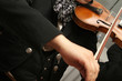 violin