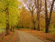 autumn walk