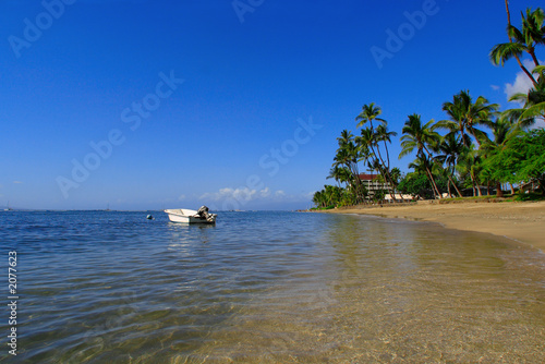 Photo: tropical beach scene tropical beach scene