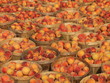 Photo: bushels of peaches bushels of peaches