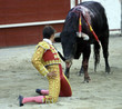 cd_toros-19