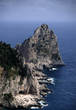 la scogliera