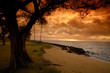 hawaii