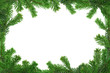 xxl image of spruce twig frame xxl image of spruce twig frame