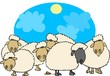 black sheep