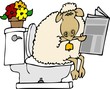 sheep shit