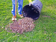 man raking leaves