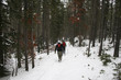 wilderness adventure