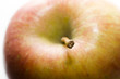 apple close up apple close up