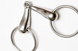 horse's bit