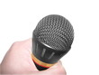 mic in hand